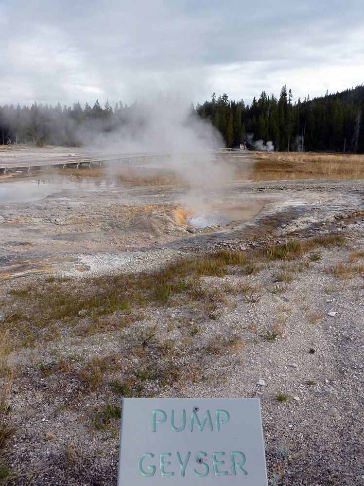 Yellowstone Old faithfull et ses environs (22).JPG